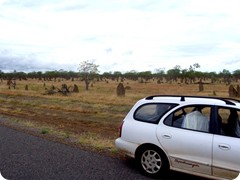 tombstone_country