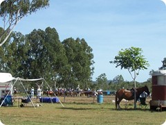 Sat_Dimbula_pony_trials2