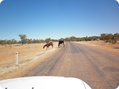 Entering Boulia