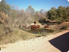 Artesian Soak