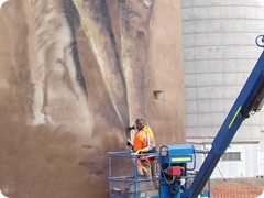 Thallon Silos - Art in progress