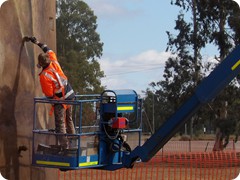 Thallon Silos - Art in progress